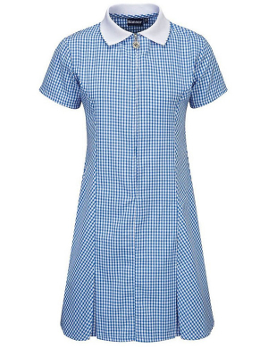 Gingham Summer Dress - Blue (Opt)