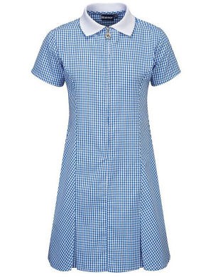 Gingham Summer Dress - Blue