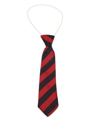 Heathfield Academy Elastic Tie