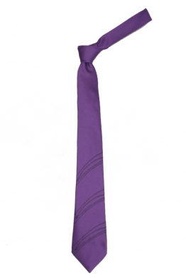 Oasis Secondary Shirley Park Tie (Years 7 - 10)